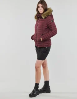 Les Petites Bombes - ALIMA