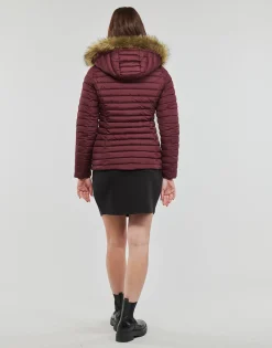 Les Petites Bombes - ALIMA