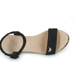 Les Petites Bombes - DALA