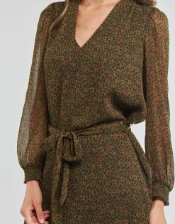 Les Petites Bombes - ERINA