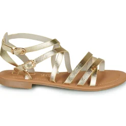 Les Petites Bombes - FIKEN