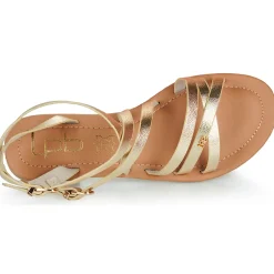 Les Petites Bombes - FIKEN