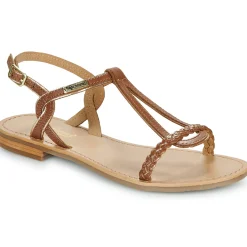 Les Tropéziennes par M Belarbi - HAPPY