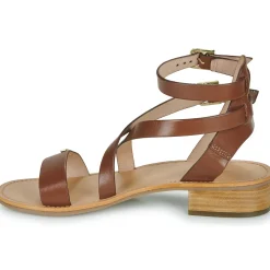 Les Tropéziennes par M Belarbi - HOCEAN