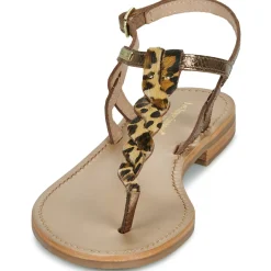 Les Tropéziennes par M Belarbi - HAMSONGPO