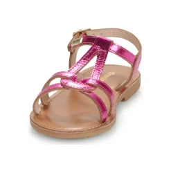 Les Tropéziennes par M Belarbi - BACKLE