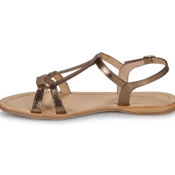 Les Tropéziennes par M Belarbi - HACKLIO