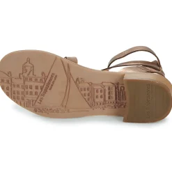 Les Tropéziennes par M Belarbi - HOCEAN