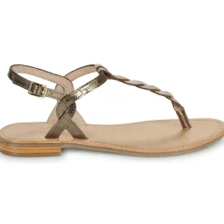 Les Tropéziennes par M Belarbi - HAMSONG