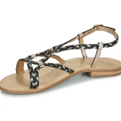 Les Tropéziennes par M Belarbi - HOMARIE