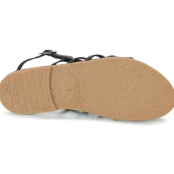 Les Tropéziennes par M Belarbi - HERILO