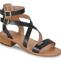 Les Tropéziennes par M Belarbi - HOCEAN