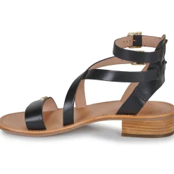 Les Tropéziennes par M Belarbi - HOCEAN