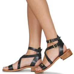 Les Tropéziennes par M Belarbi - HOCEAN