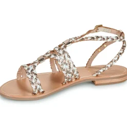 Les Tropéziennes par M Belarbi - HOMBLINE