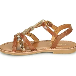 Les Tropéziennes par M Belarbi - BADAMI