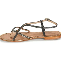 Les Tropéziennes par M Belarbi - MONACODE