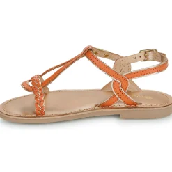 Les Tropéziennes par M Belarbi - BAPPY