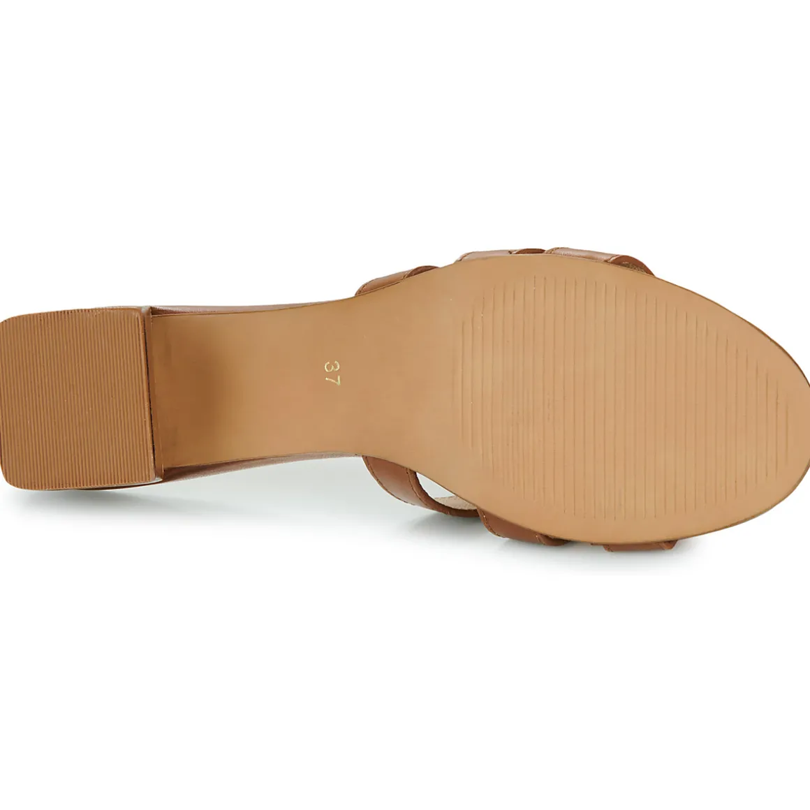 Les Tropéziennes par M Belarbi - LIVIA