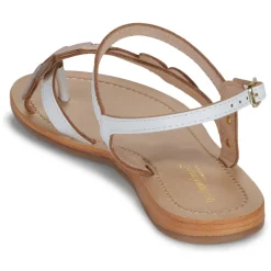 Les Tropéziennes par M Belarbi - HOLLY