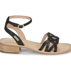 Les Tropéziennes par M Belarbi - HIREEN