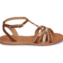 Les Tropéziennes par M Belarbi - HAMUC