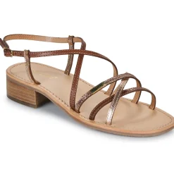 Les Tropéziennes par M Belarbi - HARRYNA