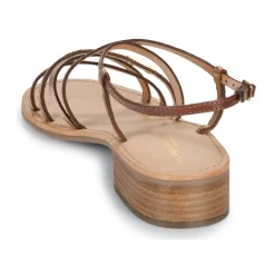 Les Tropéziennes par M Belarbi - HARRYNA