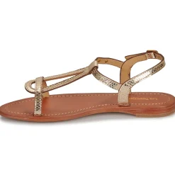 Les Tropéziennes par M Belarbi - HAMAT