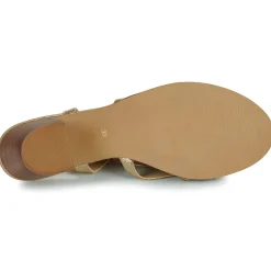 Les Tropéziennes par M Belarbi - LYMA