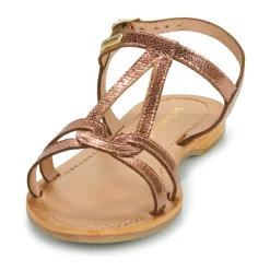 Les Tropéziennes par M Belarbi - HACKLIO