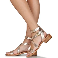 Les Tropéziennes par M Belarbi - HOCEAN