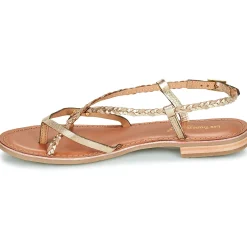 Les Tropéziennes par M Belarbi - MONATRES