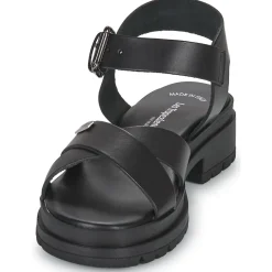 Les Tropéziennes par M Belarbi - TIHA