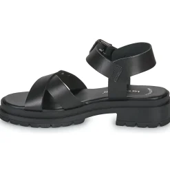 Les Tropéziennes par M Belarbi - TIHA