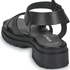 Les Tropéziennes par M Belarbi - TIHA