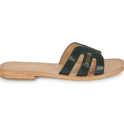 Les Tropéziennes par M Belarbi - HADAMIA