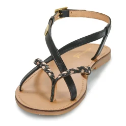 Les Tropéziennes par M Belarbi - CHOU