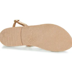 Les Tropéziennes par M Belarbi - BATRESSE