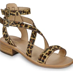 Les Tropéziennes par M Belarbi - HOCEANPO