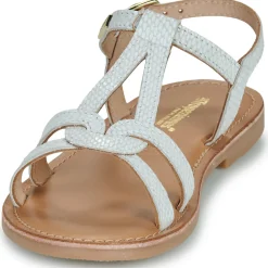 Les Tropéziennes par M Belarbi - BACKLE