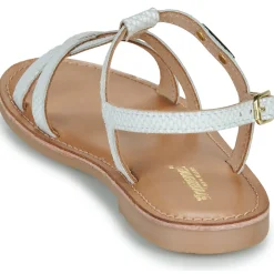 Les Tropéziennes par M Belarbi - BACKLE