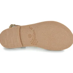 Les Tropéziennes par M Belarbi - BACKLE