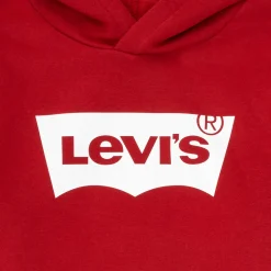 Levi's - BATWING SCREENPRINT HOODIE