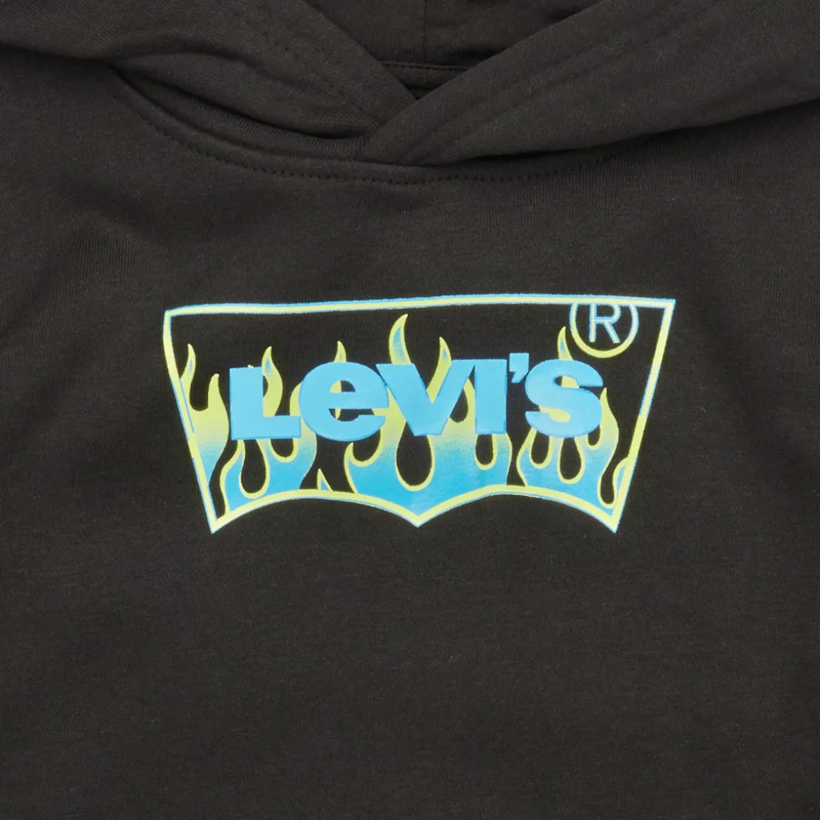 Levi's -  BATWING FILL HOODIE