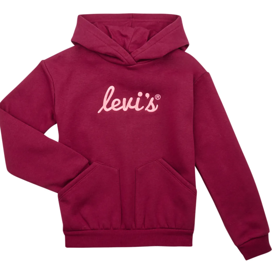 Levi's - LVG POSTER LOGO HOODIE
