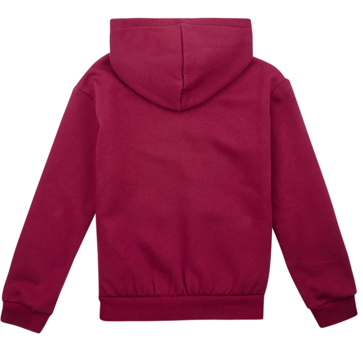 Levi's - LVG POSTER LOGO HOODIE