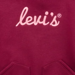 Levi's - LVG POSTER LOGO HOODIE