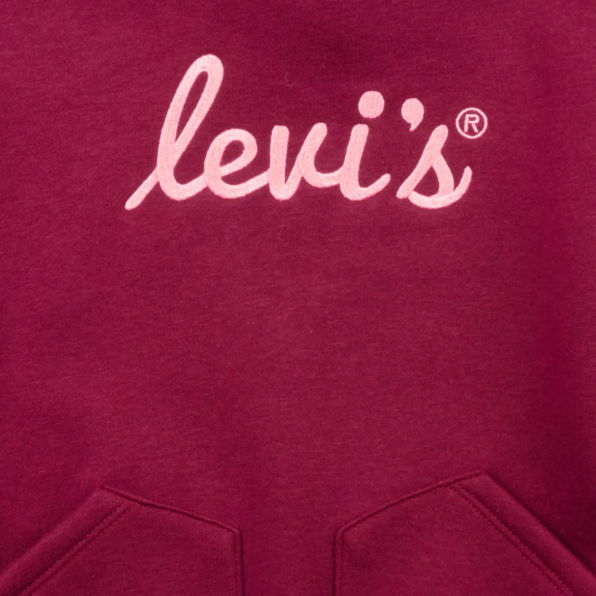 Levi's - LVG POSTER LOGO HOODIE