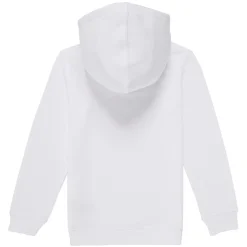 Levi's - PALM BATWING FILL HOODIE